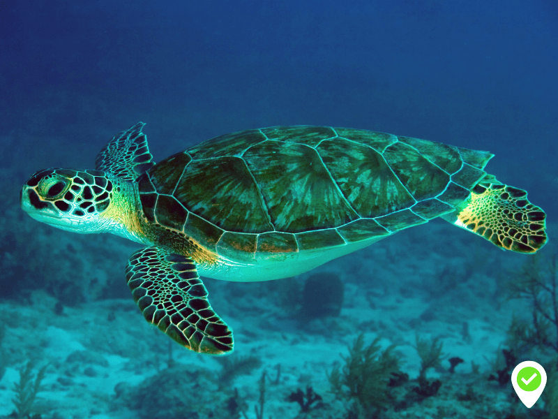 Lanzarote Aquarium