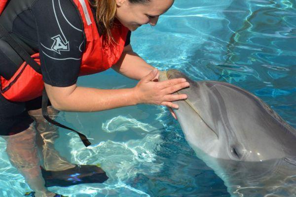 Things to do in Puerto Calero - Interact With Dolphins Lanzarote