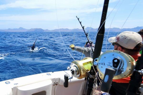 Things to do in Arrecife - Fishing Lanzarote By Day