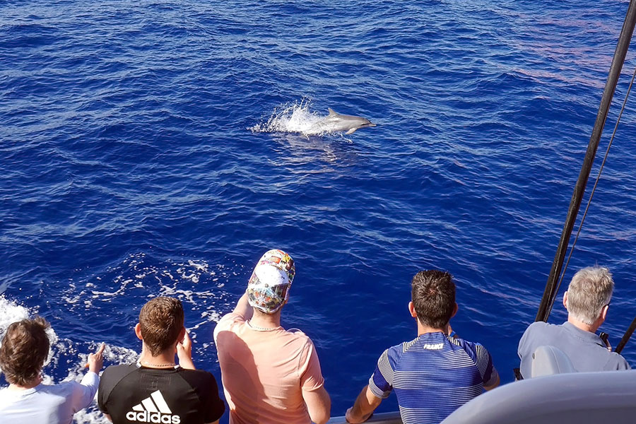 whale-watching-lanzarote_1