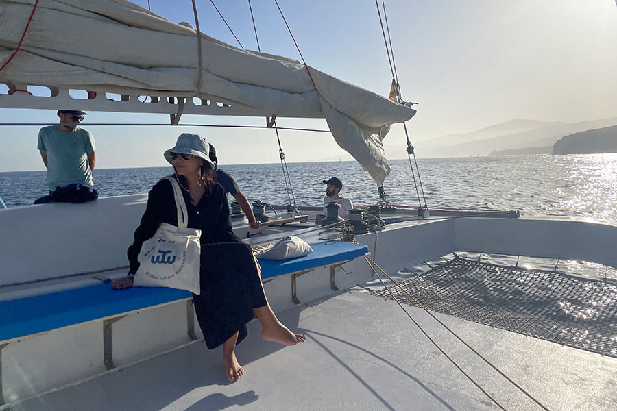 dolphin-watching-lanzarote-at-sunset_2