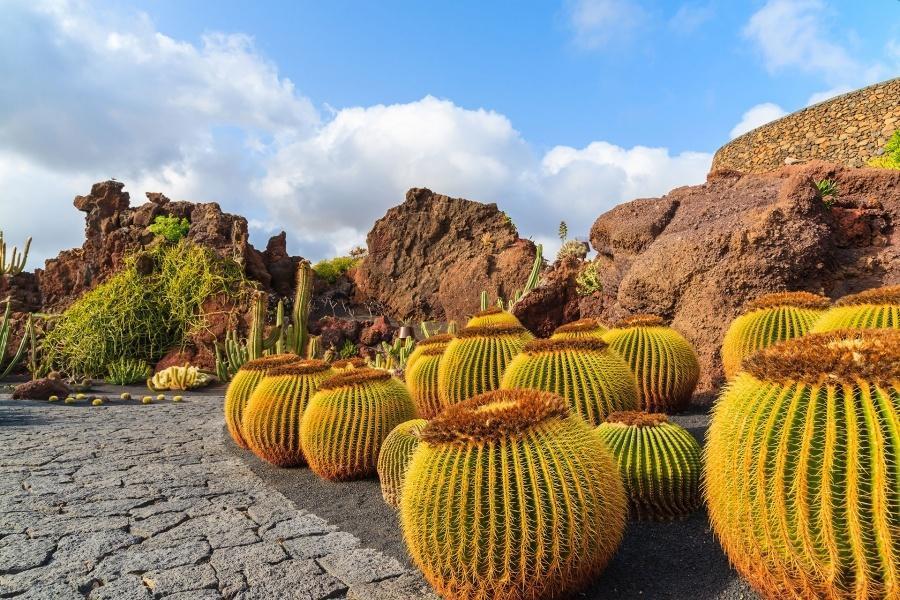 caesar tour lanzarote