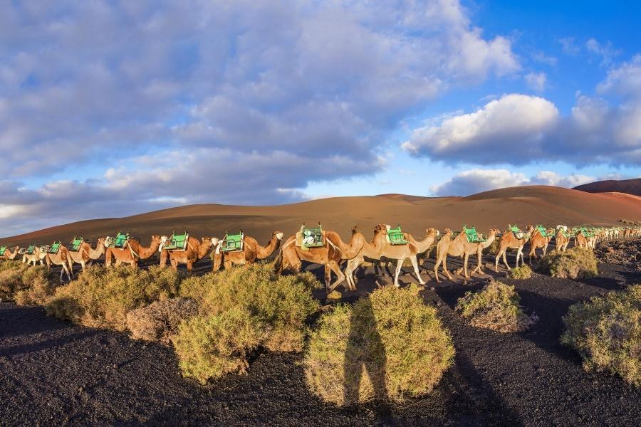 excursion grand tour lanzarote