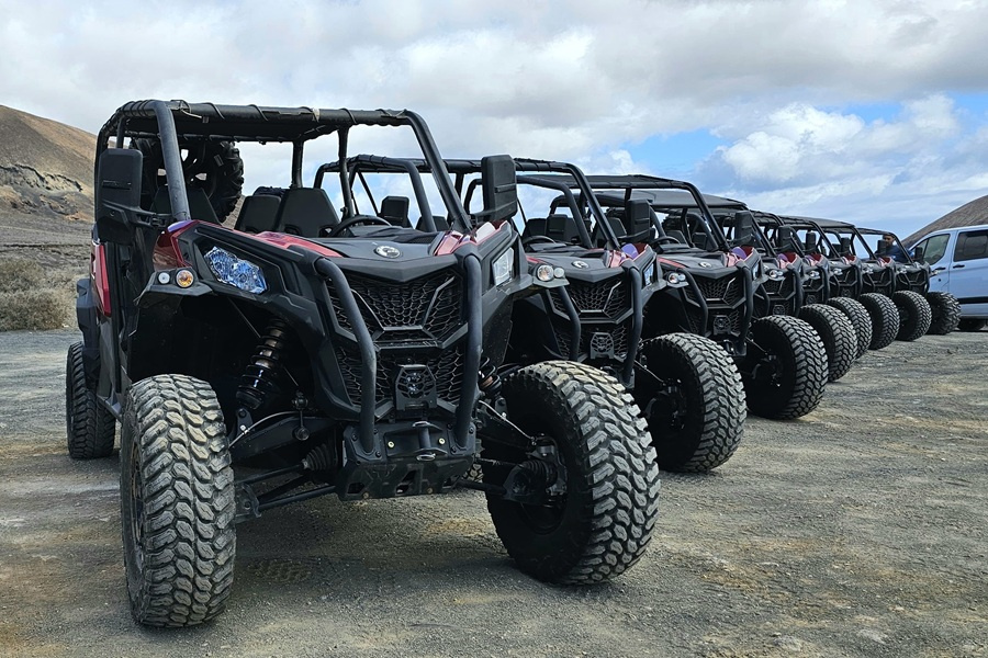 4-seater-buggies5