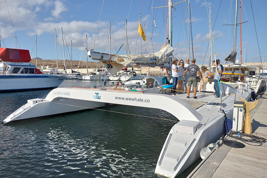 whale-watching-lanzarote_5